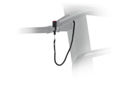 Landice Remote Stop Start Switch