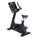 Elite Eco-Natural Upright Exercise Bike | SportsArt (C574U)