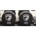 10-Sided Urethane Dumbbells | American Barbell (DBAB4-10-SET)