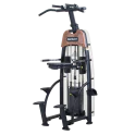 Assisted Chin/Dip Machine | SportsArt (N911)