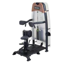 Rotary Torso | SportsArt (N935)