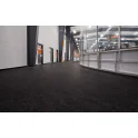 Aktiv Rolled Rubber Flooring - 1/4" Thick | REGUPOL (AK101-1/4-ROLL)