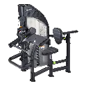 Selectorized Biceps Curl / Triceps Extension Machine | SportsArt (DF305)