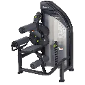 Selectorized Back Extension / Abdominal Crunch Machine | SportsArt (DF306)