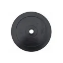 Technique Training Plates - 5 lb (Pair) | Ironcompany (WTP-05)