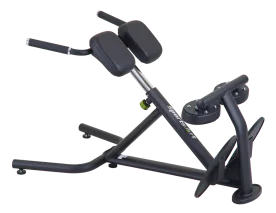 Back/Hyperextension | SportsArt (A993)