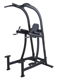 Status Series VKR Chin Dip Station | SportsArt (A994)