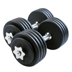 Adjustable Spin Lock Dumbbell Set | Body Solid (BSTADBPR)