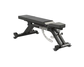 Defiant Strength 3-Way Adjustable Bench (DS-935) Showcasing its Durable Steel Frame and Padded Seat