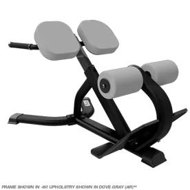 Instinct® 45° Back Extension | COREHF (9NN-B7502)