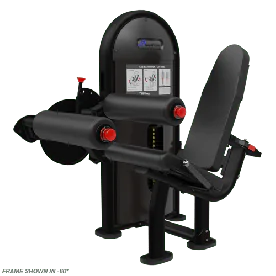 Instinct® Dual Leg Extension/Leg Curl | COREHF (9NL-D1014)