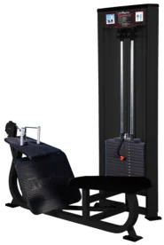 ProMaxima Raptor P-4200 Seated Cable Row Machine with 300 lb. Weight Stack, Large Non-Skid Foot Platform, and Dual Grip Handle
