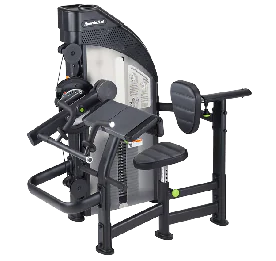 Selectorized Biceps Curl / Triceps Extension Machine | SportsArt (DF305)