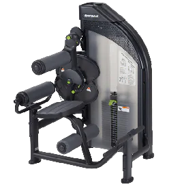 Selectorized Back Extension / Abdominal Crunch Machine | SportsArt (DF306)