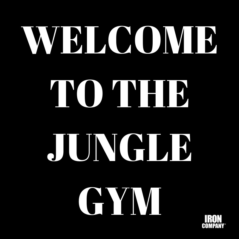 Jungle gym strength training equipment by IRON COMPANY
