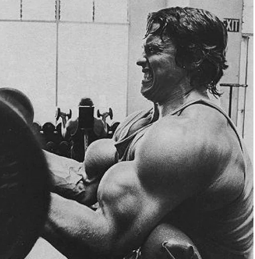 Arnold Schwarzenegger performing a preacher curl