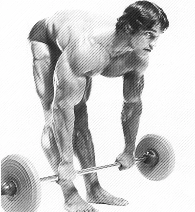 Bodybuilder performing barbell stiff-leg deadlifts for hamstring training