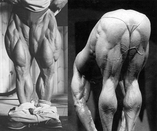 Bodybuilder showing quad and hamstring development