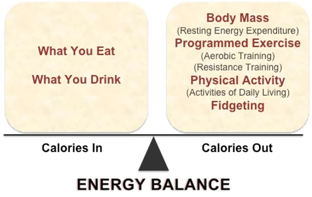 Energy balance scale comparing calories in and calories out