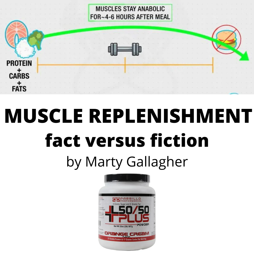 Muscle replenishment diagram for post-workout nutrition article
