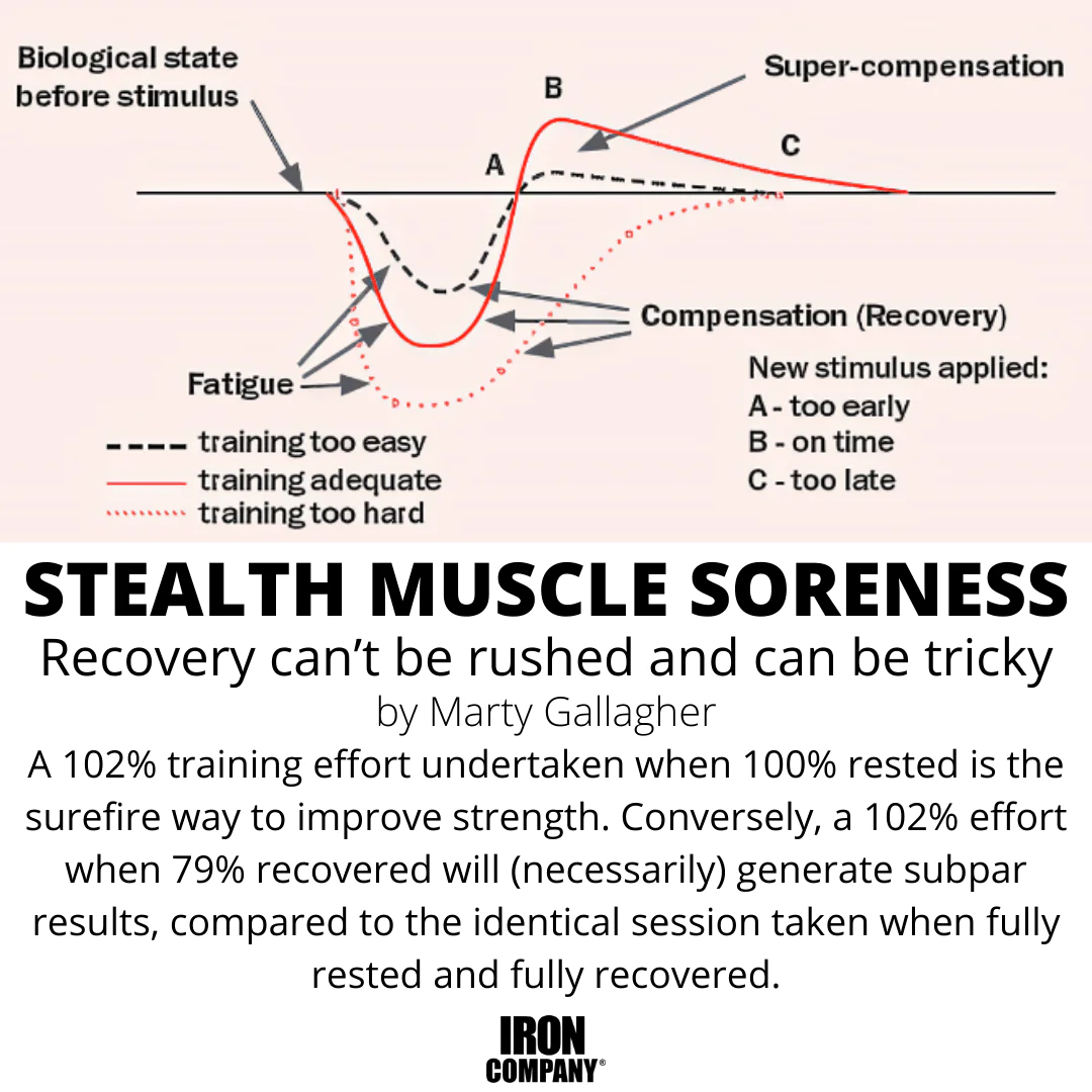 Muscle soreness and recovery diagram for DOMS article