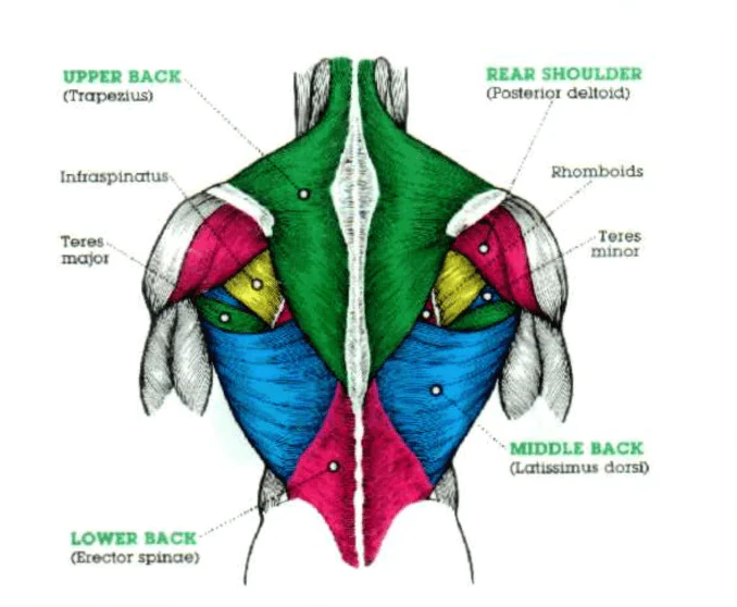 Barn Door Lats Chart
